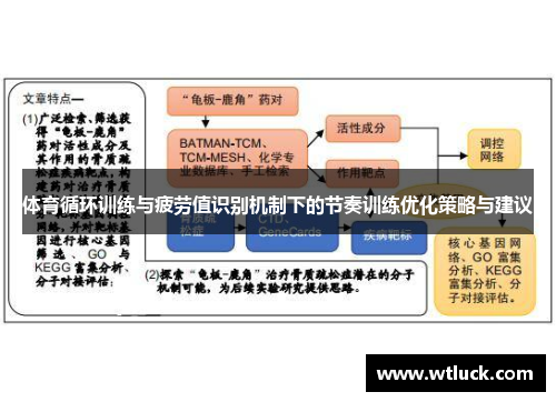 体育循环训练与疲劳值识别机制下的节奏训练优化策略与建议
